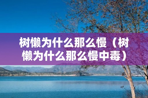 树懒为什么那么慢（树懒为什么那么慢中毒）