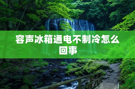容声冰箱通电不制冷怎么回事