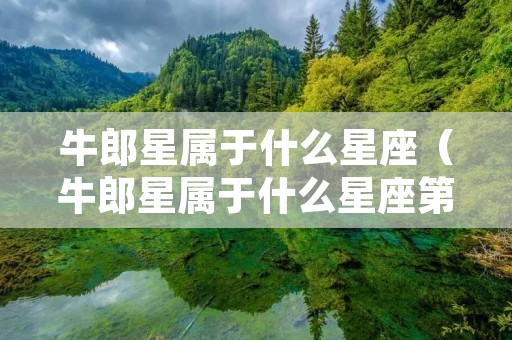 牛郎星属于什么星座（牛郎星属于什么星座第二人生）