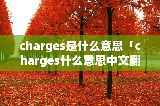 charges是什么意思「charges什么意思中文翻译」 charges是什么意思「charges什么意思中文翻译」