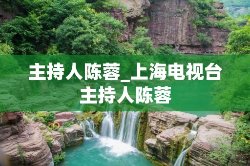主持人陈蓉_上海电视台主持人陈蓉