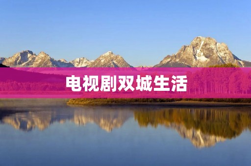 电视剧双城生活