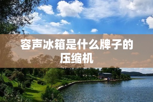 容声冰箱是什么牌子的压缩机