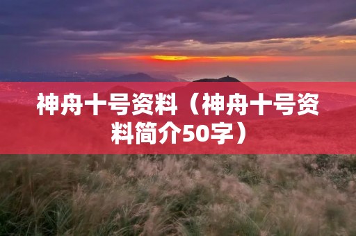 神舟十号资料（神舟十号资料简介50字）
