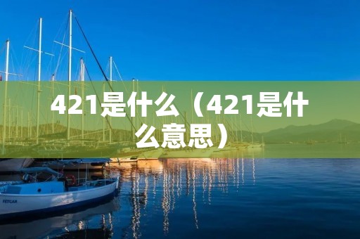 421是什么（421是什么意思）