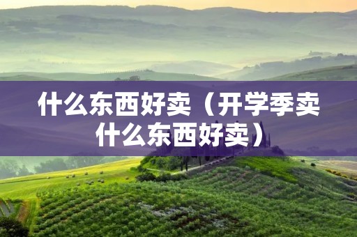 什么东西好卖(开学季卖什么东西好卖) 什么东西好卖(开学季卖什么东西好卖)