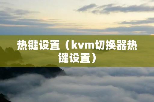 热键设置（kvm切换器热键设置）