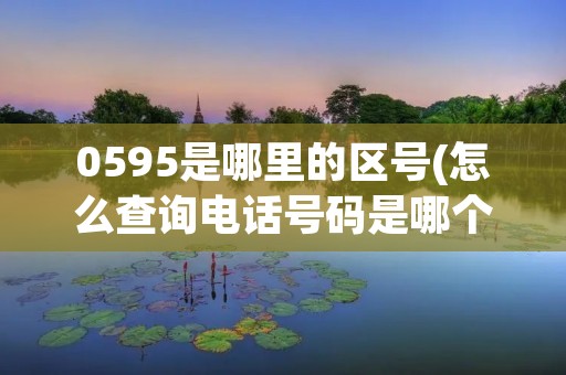 0595是哪里的区号(怎么查询**号码是哪个公司的) 0595是哪里的区号(怎么查询**号码是哪个公司的)
