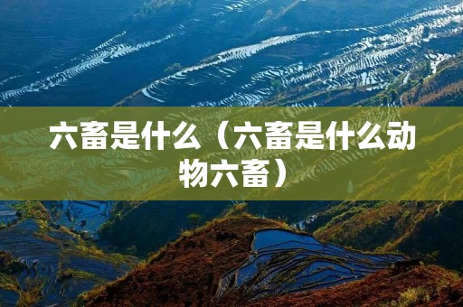 六畜是什么(六畜是什么动物六畜) 六畜是什么(六畜是什么动物六畜)