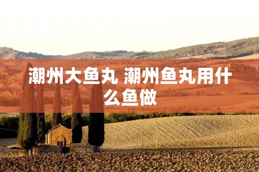 潮州大鱼丸 潮州鱼丸用什么鱼做
