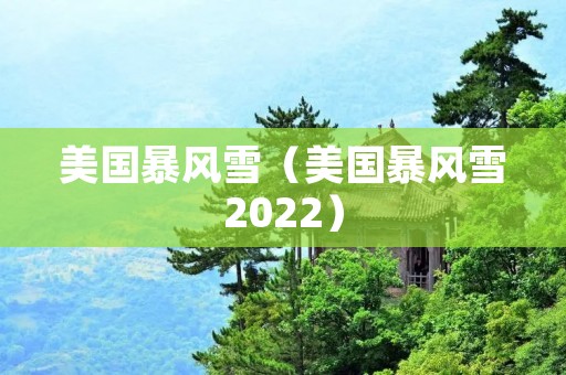 美国暴风雪(美国暴风雪2022) 美国暴风雪(美国暴风雪2022)