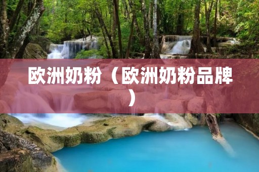 欧洲奶粉（欧洲奶粉品牌）
