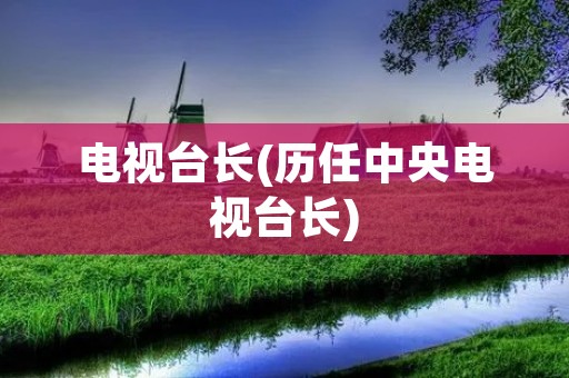 电视台长(历任中央电视台长)