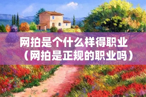 网拍是个什么样得职业（网拍是正规的职业吗）
