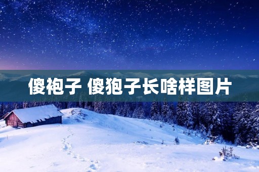 傻袍子 傻狍子长啥样图片