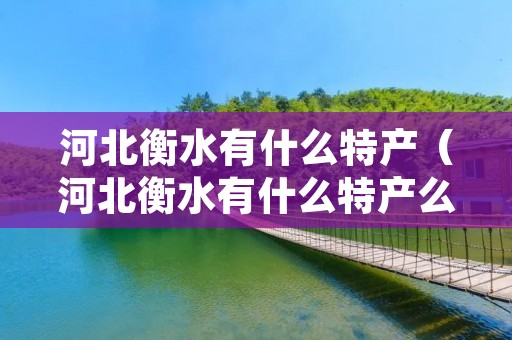 河北衡水有什么特产（河北衡水有什么特产么）
