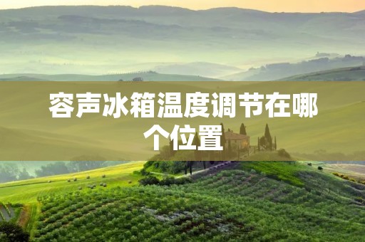容声冰箱温度调节在哪个位置