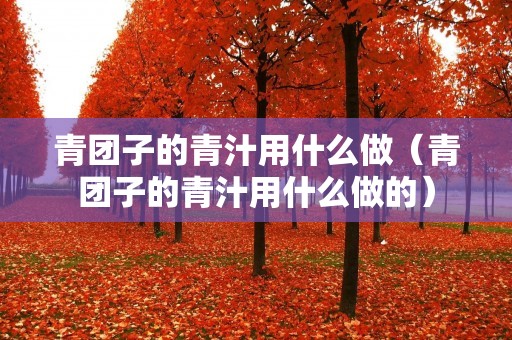 青团子的青汁用什么做（青团子的青汁用什么做的）