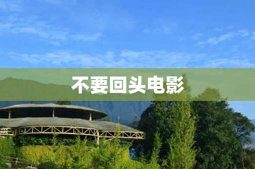 不要回头电影 不要回头电影