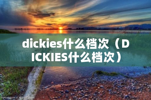 dickies什么档次（DICKIES什么档次）