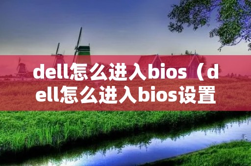 dell怎么进入bios(dell怎么进入bios设置硬盘启动) dell怎么进入bios(dell怎么进入bios设置硬盘启动)