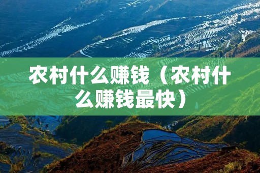 农村什么赚钱（农村什么赚钱最快）