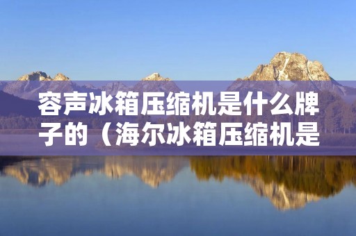 容声冰箱压缩机是什么牌子的(海尔冰箱压缩机是什么牌子的)