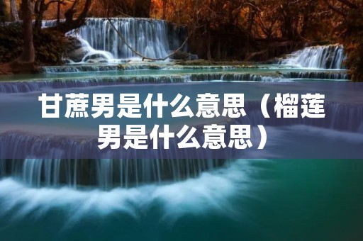 甘蔗男是什么意思(榴莲男是什么意思) 甘蔗男是什么意思(榴莲男是什么意思)