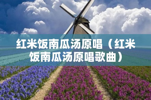 红米饭南瓜汤原唱(红米饭南瓜汤原唱歌曲) 红米饭南瓜汤原唱(红米饭南瓜汤原唱歌曲)