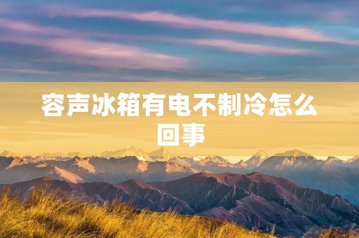 容声冰箱有电不制冷怎么回事