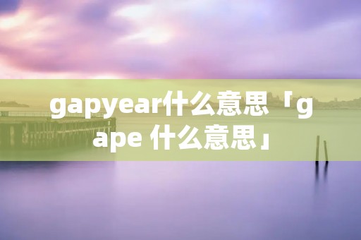 gapyear什么意思「gape 什么意思」