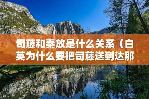 司藤和秦放是什么关系（白英为什么要把司藤送到达那）