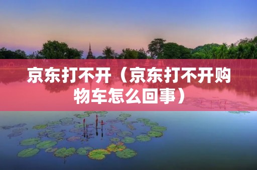 京东打不开（京东打不开购物车怎么回事）