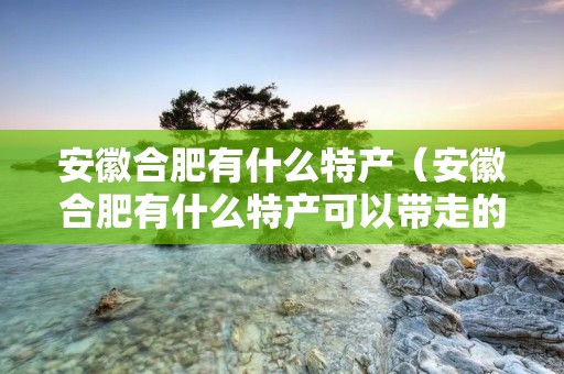 安徽合肥有什么特产（安徽合肥有什么特产可以带走的）