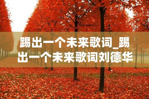 踢出一个未来歌词_踢出一个未来歌词刘德华 踢出一个未来歌词_踢出一个未来歌词刘德华