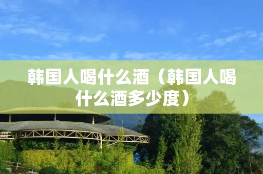 韩国人喝什么酒(韩国人喝什么酒多少度) 韩国人喝什么酒(韩国人喝什么酒多少度)