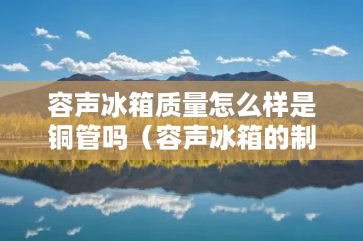 容声冰箱质量怎么样是铜管吗(容声冰箱的制冷管是什么材质) 容声冰箱质量怎么样是铜管吗(容声冰箱的制冷管是什么材质)