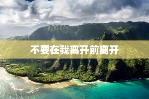 不要在我离开前离开 不要在我离开前离开