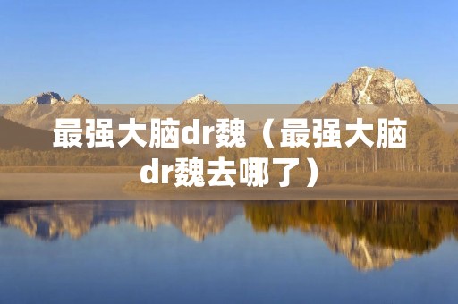 最强大脑dr魏(最强大脑dr魏去哪了) 最强大脑dr魏(最强大脑dr魏去哪了)