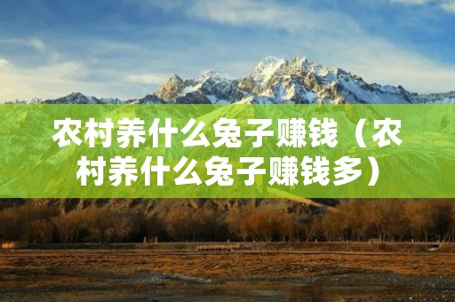 农村养什么兔子赚钱（农村养什么兔子赚钱多）