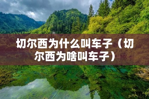 切尔西为什么叫车子（切尔西为啥叫车子）
