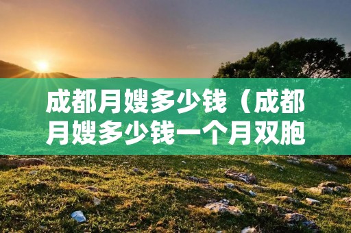 成都月嫂多少钱（成都月嫂多少钱一个月双胞胎）