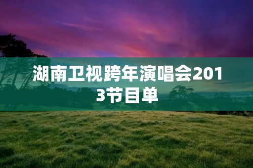 湖南卫视跨年演唱会2013节目单