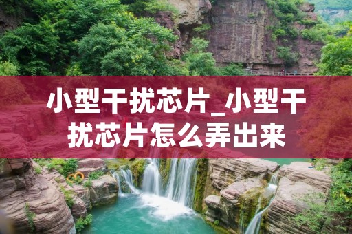 小型干扰芯片_小型干扰芯片怎么弄出来
