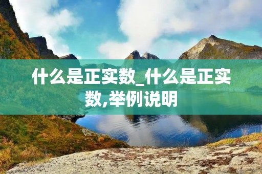 什么是正实数_什么是正实数,举例说明
