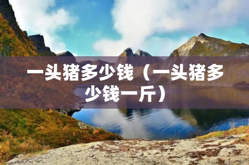 一头猪多少钱（一头猪多少钱一斤）