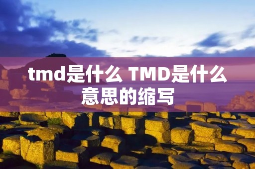 tmd是什么 TMD是什么意思的缩写