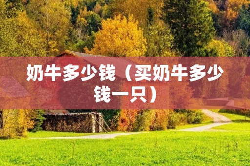 奶牛多少钱(买奶牛多少钱一只) 奶牛多少钱(买奶牛多少钱一只)