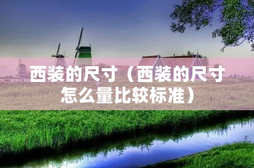 西装的尺寸(西装的尺寸怎么量比较标准) 西装的尺寸(西装的尺寸怎么量比较标准)