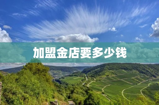 加盟金店要多少钱